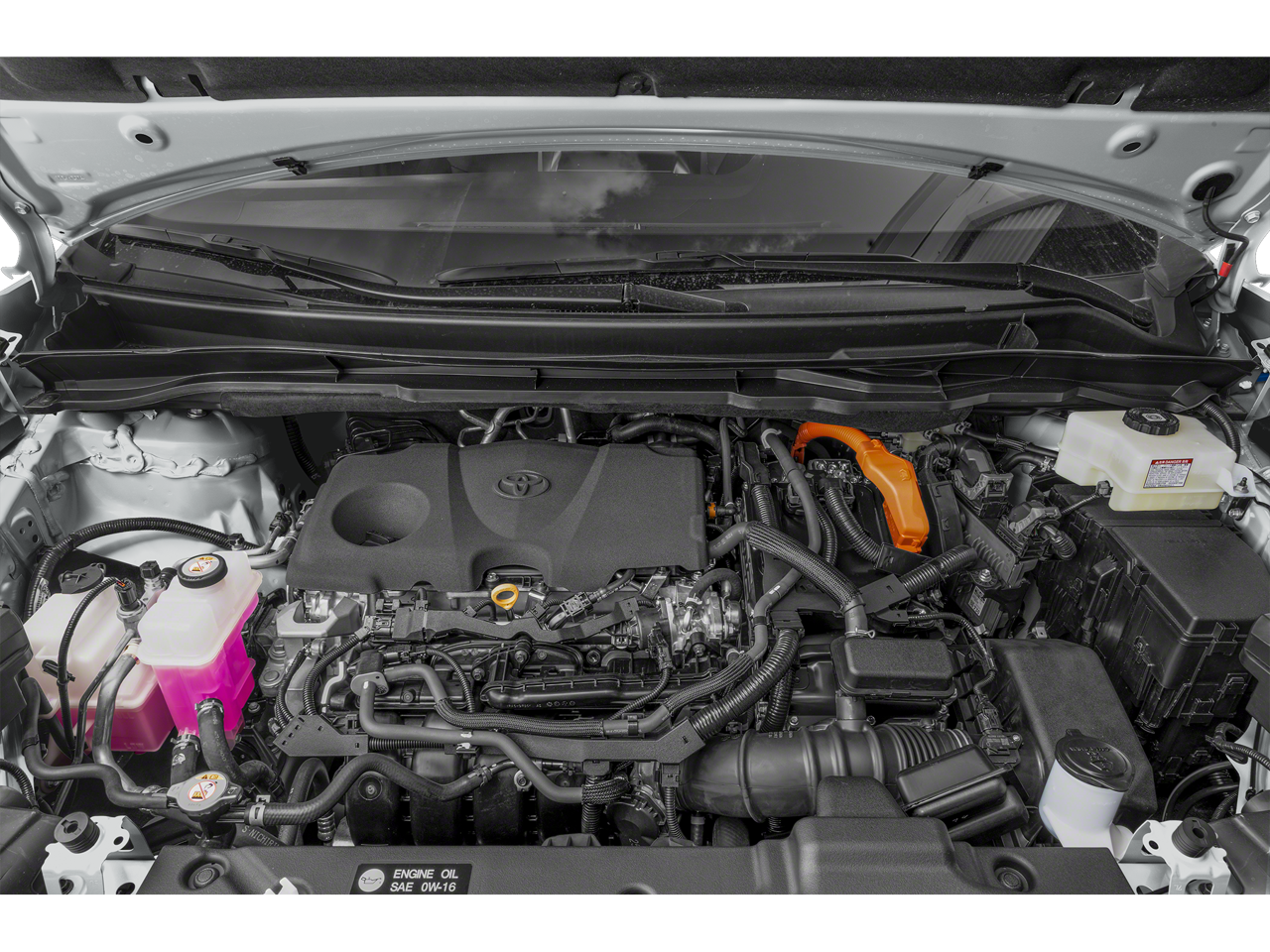 2022 Toyota Sienna Woodland Edition