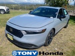 2026 Honda Accord Hybrid Sport