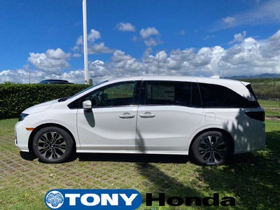 2026 Honda Odyssey Elite