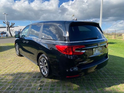 2024 Honda Odyssey EX-L