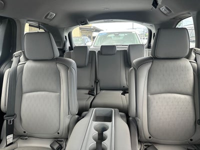 2024 Honda Odyssey Elite