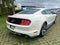 2015 Ford Mustang GT 50 Years Limited Edition