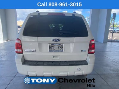 2010 Ford Escape XLT