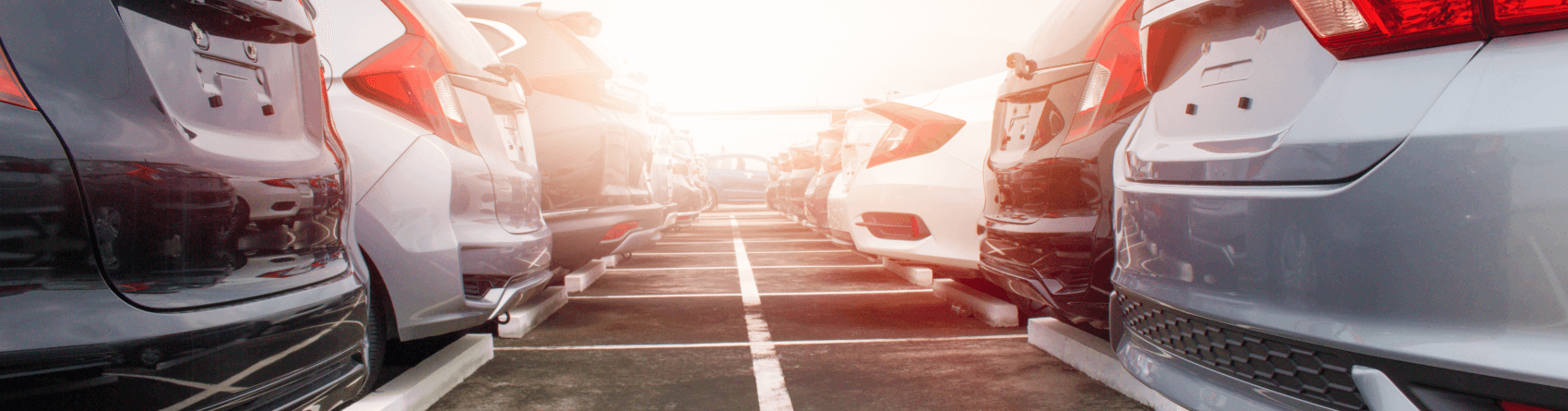 sunrise over a used car lot