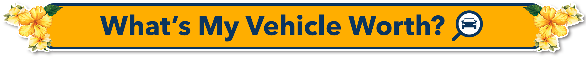 Whats My Vehicle Worth