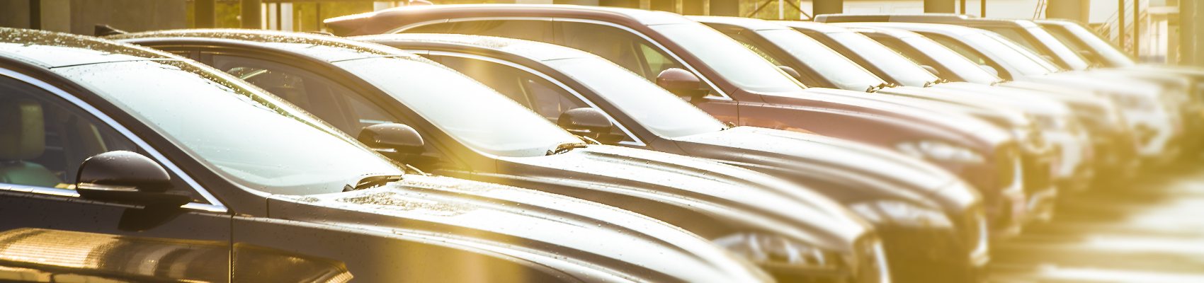 vehicles parked in dealer lot in the afternoon